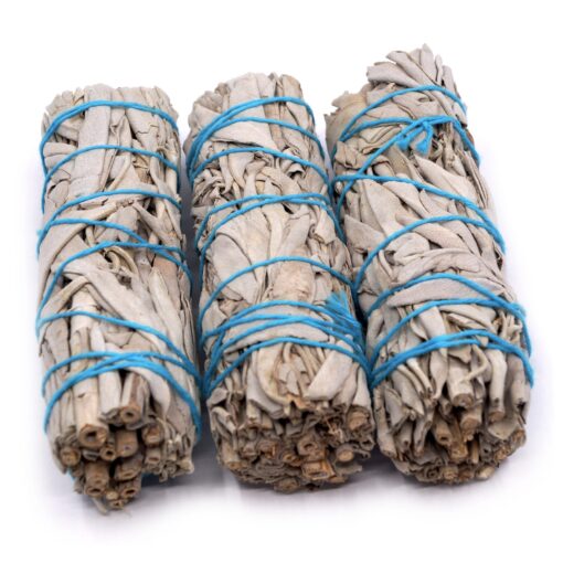 weißer salbei 3rollen vo 1×1