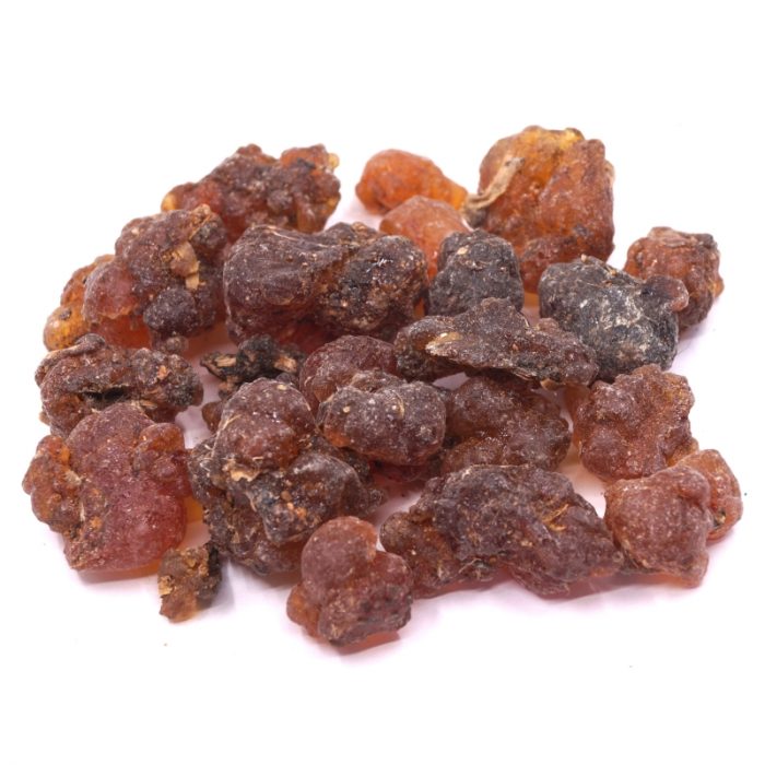 kua myrrhe jemen Commiphora sokotra