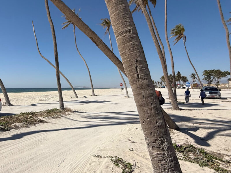 Strand bei Salalah, Oman.